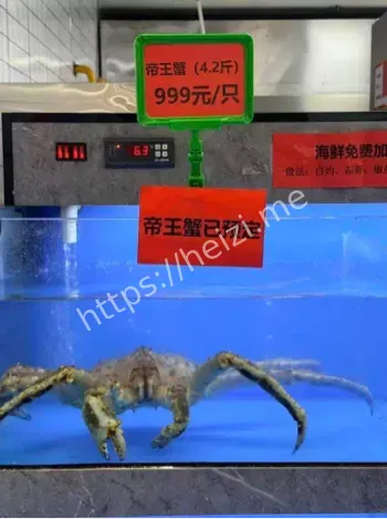 南大食堂帝王蟹999元